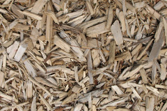 biomass boilers Tyganol