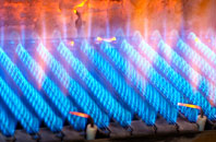 Tyganol gas fired boilers